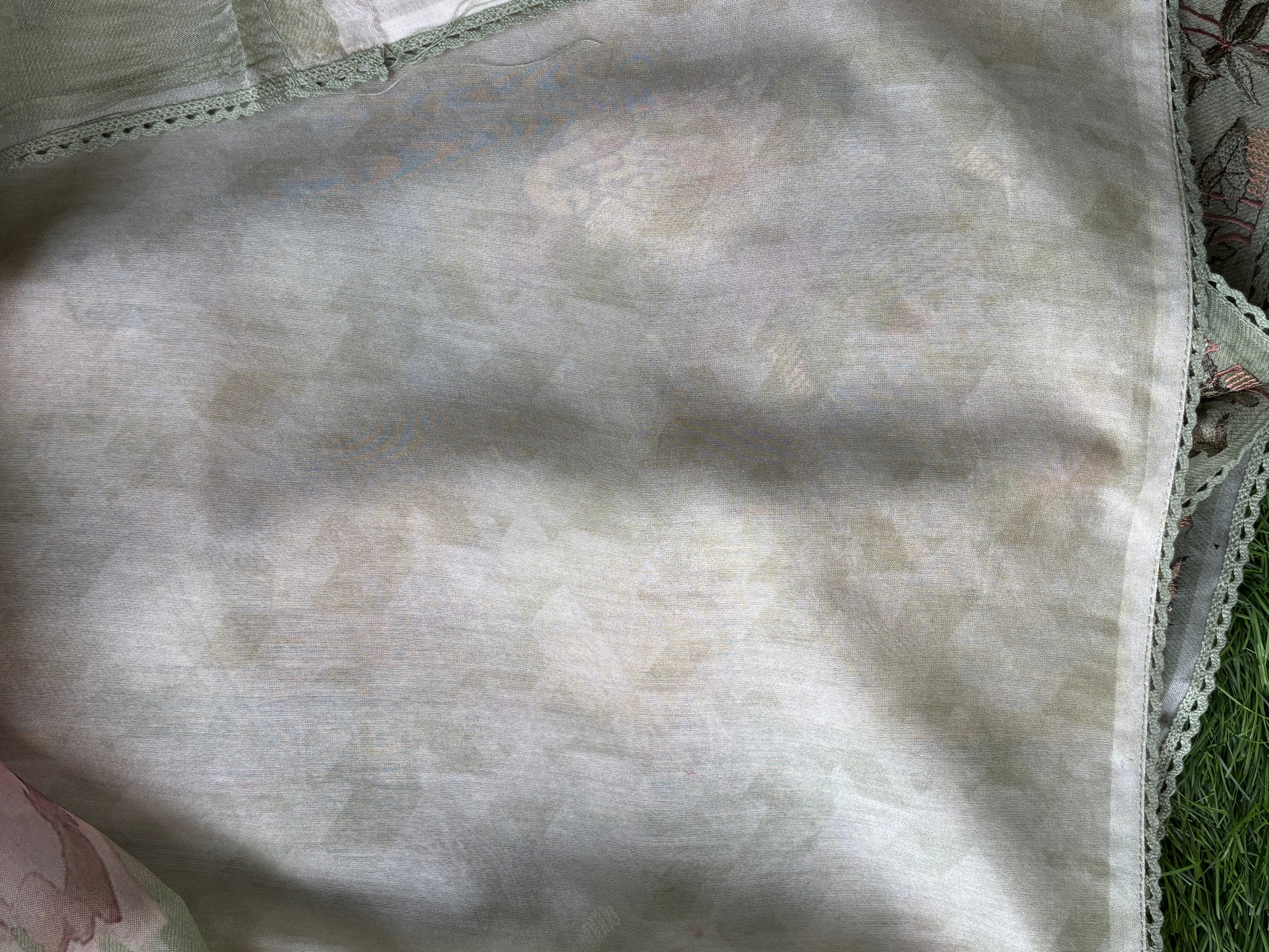 Pure Pista Green Organza Saree with Figure & Floral Embroidery and Digital Print | Chandrika Lifestyles