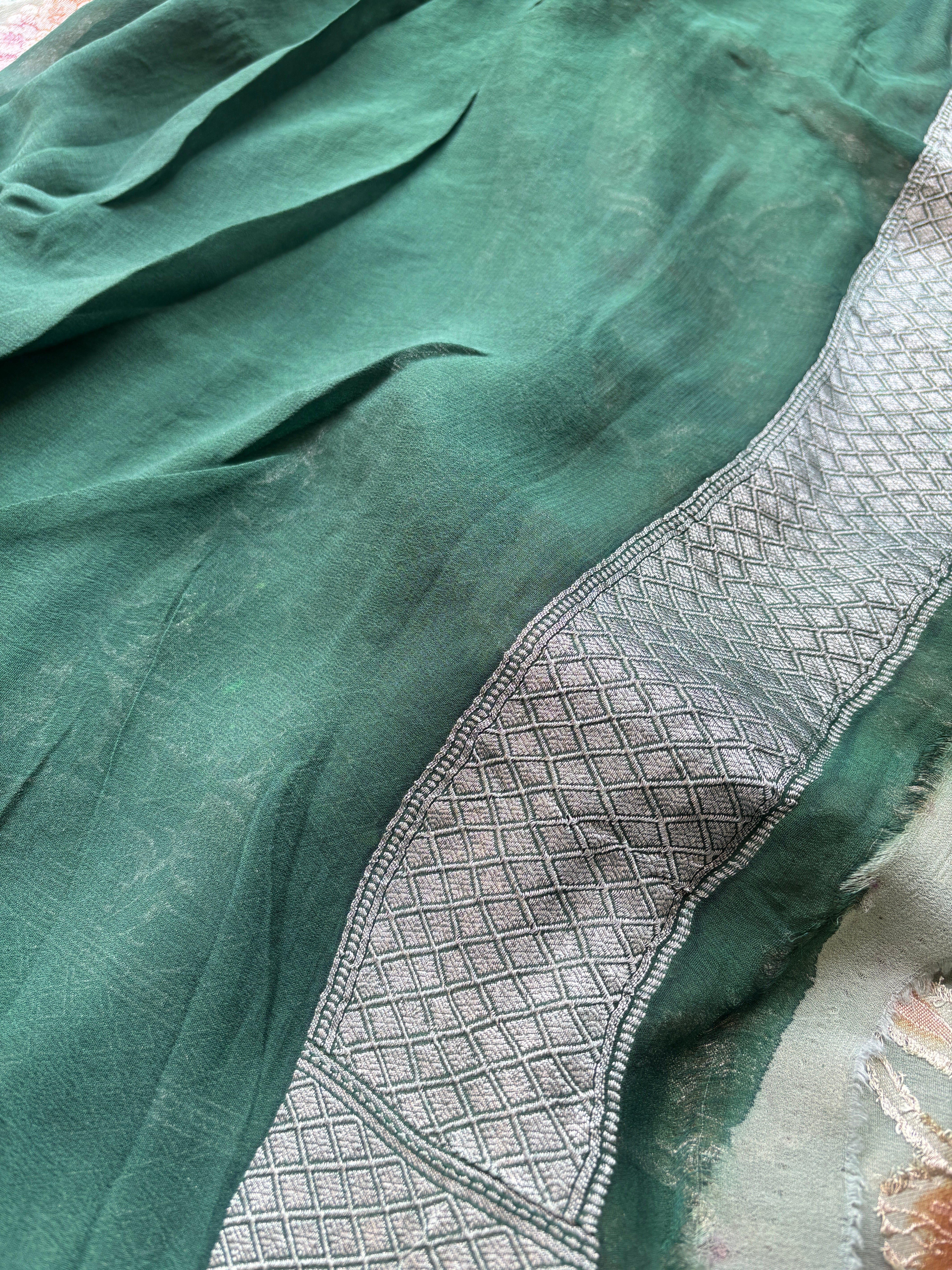 dark green blouse with woven border paired with Banarasi saree
