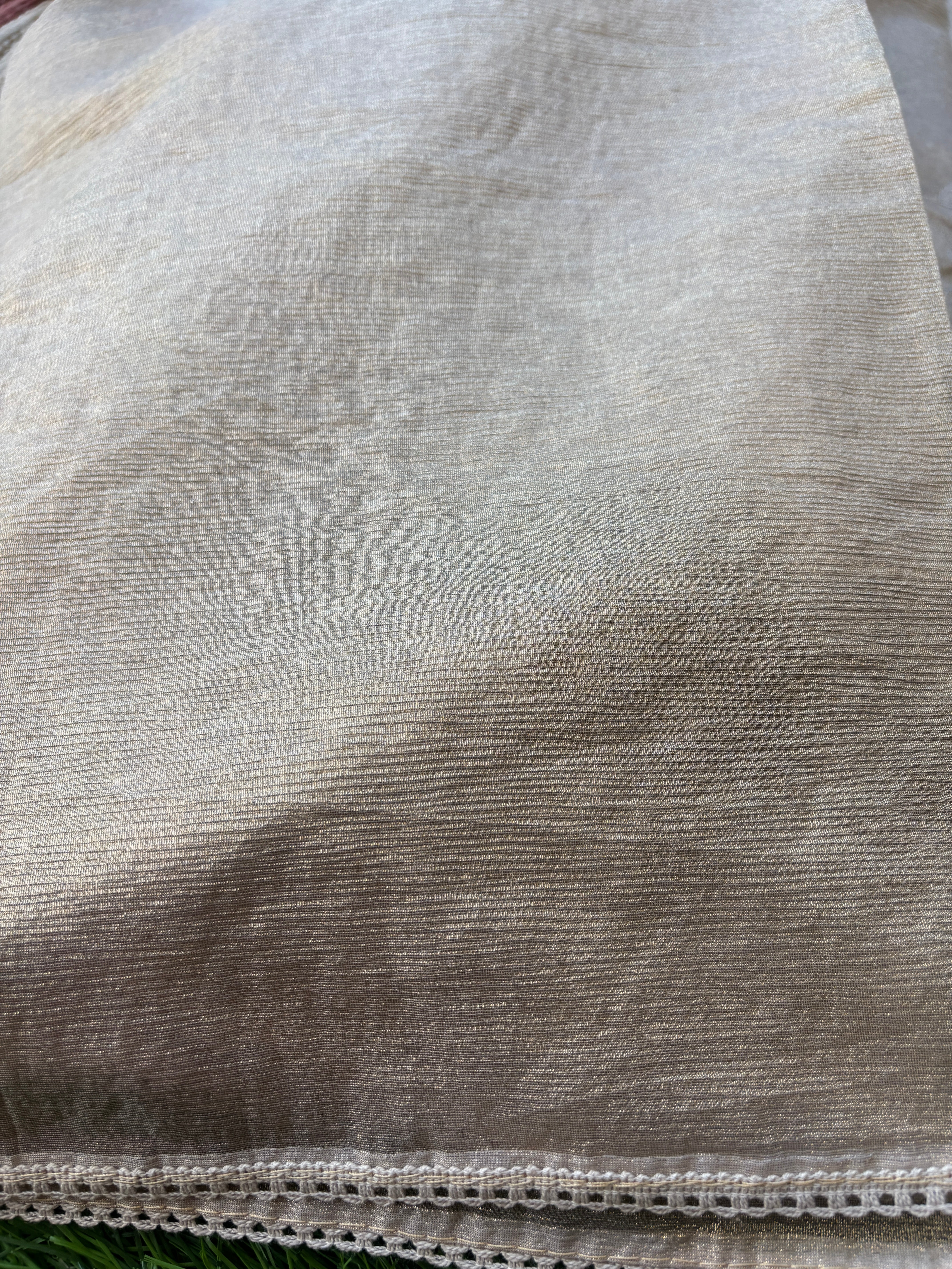 Beige Tissue Saree with Allover Applique Work | Chandrika Lifestyles